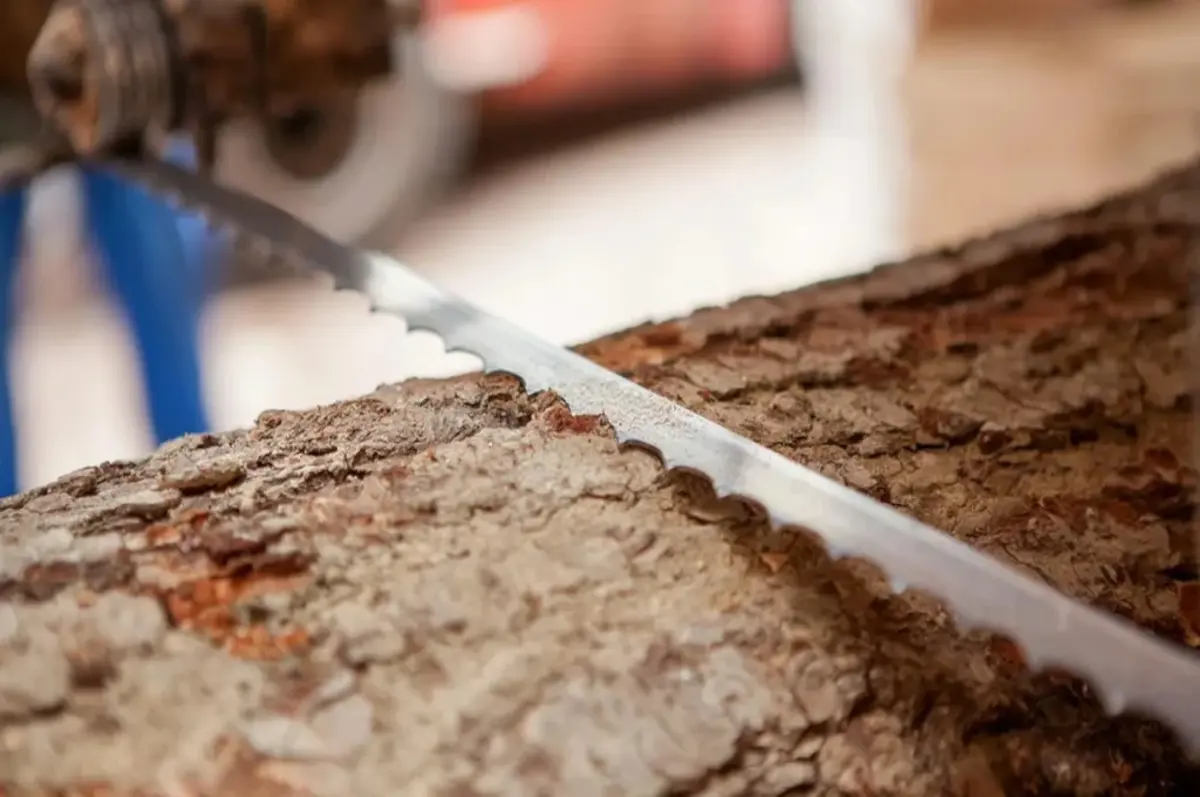 Block- und Trennbandsägen Stellitiert