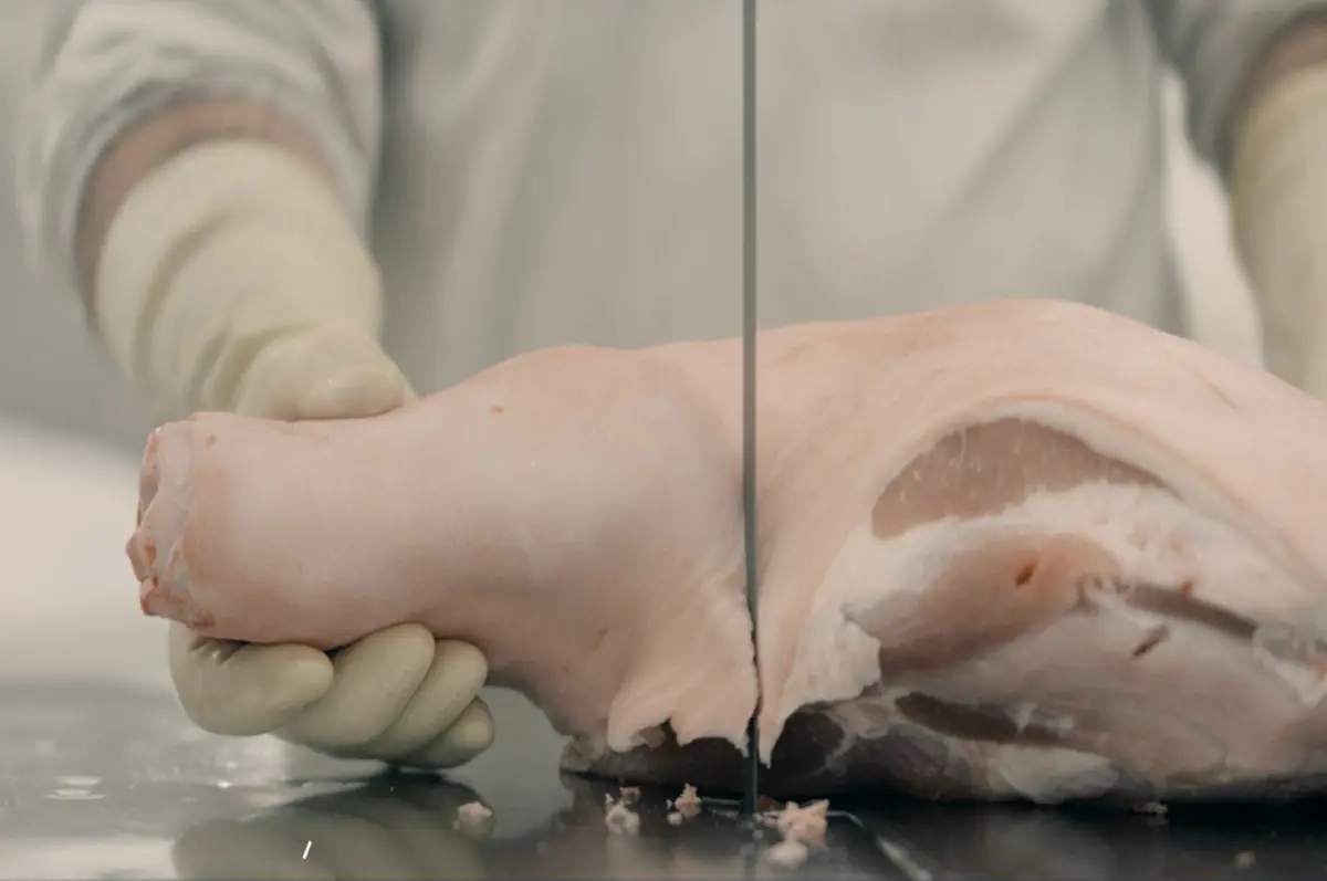 Fleischereibandsägeblätter