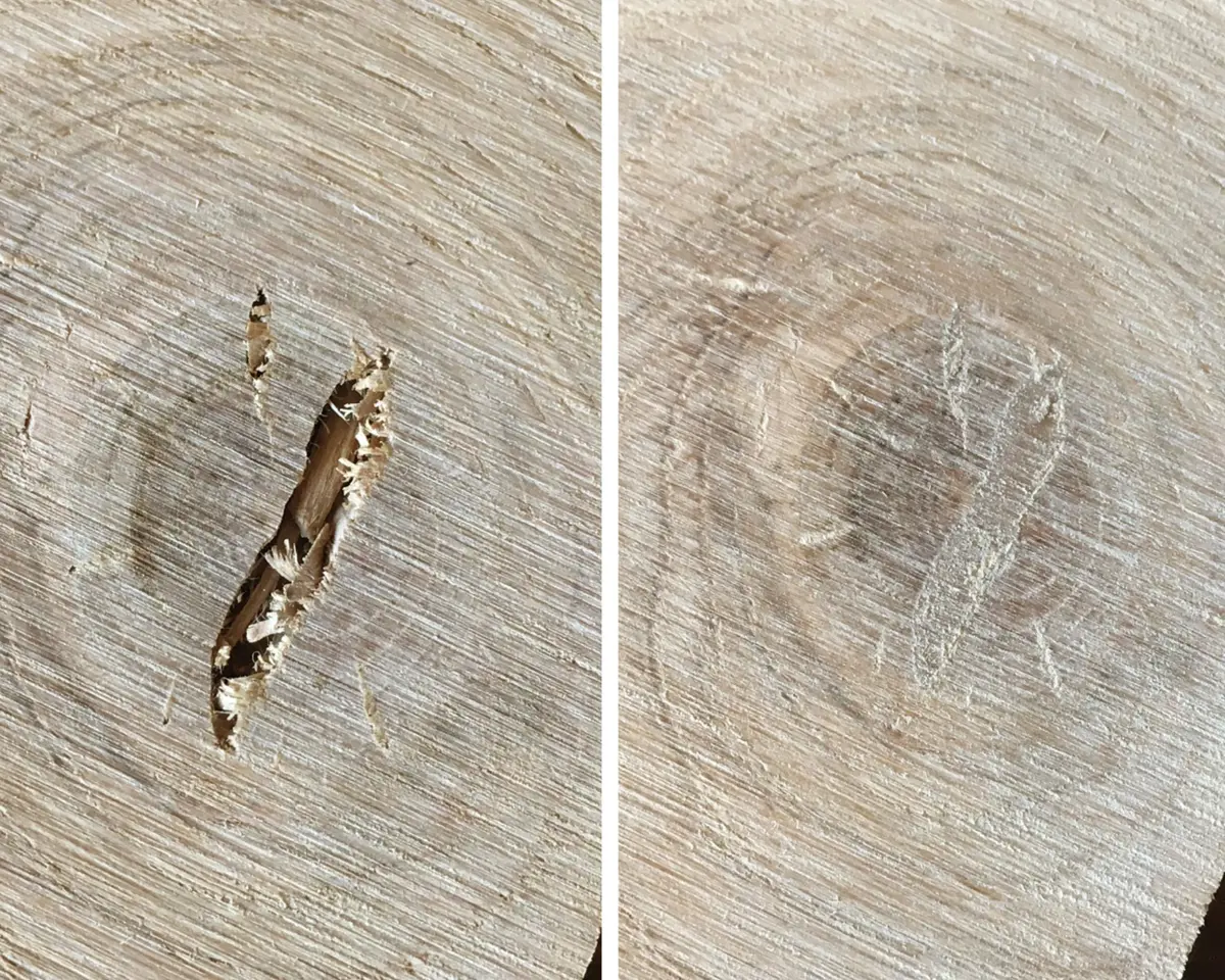 Wood Repair Holzreparatur PLUS+ Satz